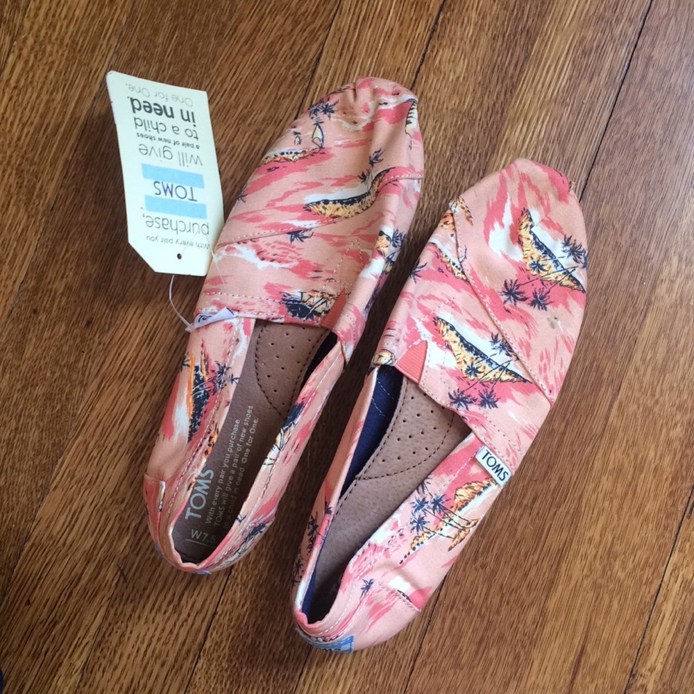 Tropical TOMS